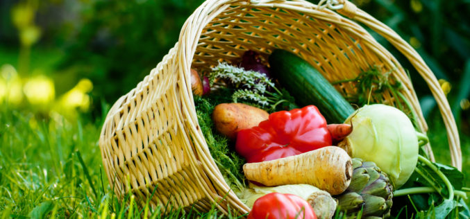 Owoce i warzywa z uprawy ekologicznej i konwencjonalnej – czym się różnią?