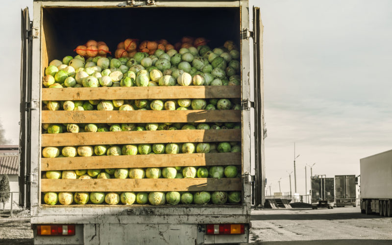 Warunki transportu świeżych owoców i warzyw