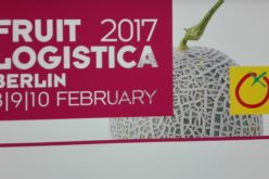 Fruit Logistica 2017 wystartowała – pierwsza relacja