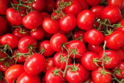 W 2017 r. spadnie produkcja polskich pomidorów?