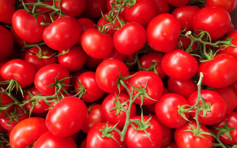 W 2017 r. spadnie produkcja polskich pomidorów?