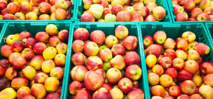 Co się dzieje na rynku jabłek?