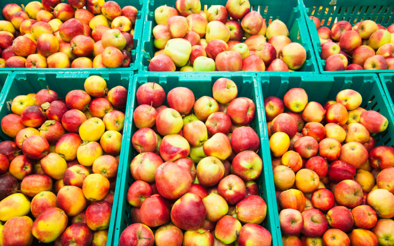 Rosną ceny jabłek do przetwórstwa