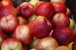 Sytuacja na rynku jabłek