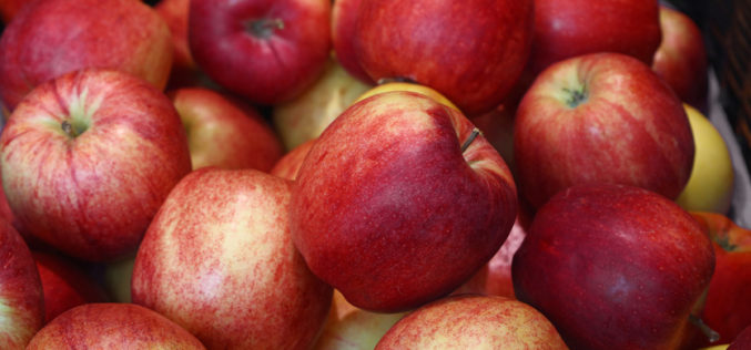Maleje eksport jabłek w UE