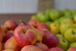 Handlowcy narzekają na mały eksport jabłek?