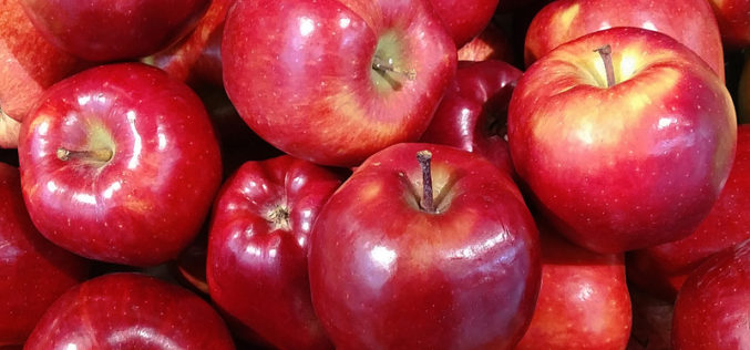 Ceny jabłek nadal rosną. Jak długo?