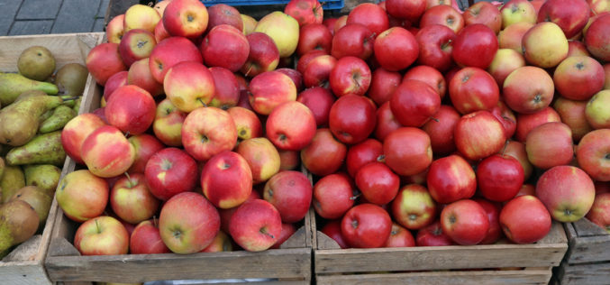 Optymistyczne nastroje na rynku jabłek