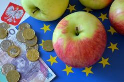 Handlowcy narzekają na mniejsze wysyłki zagraniczne jabłek