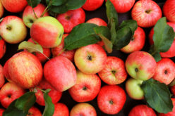 Hossa na rynku jabłek