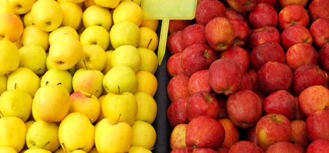 Ceny jabłek deserowych nawet 3 – krotnie niższe niż w roku ubiegłym